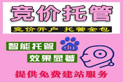 百度推广公司：成功案例解析